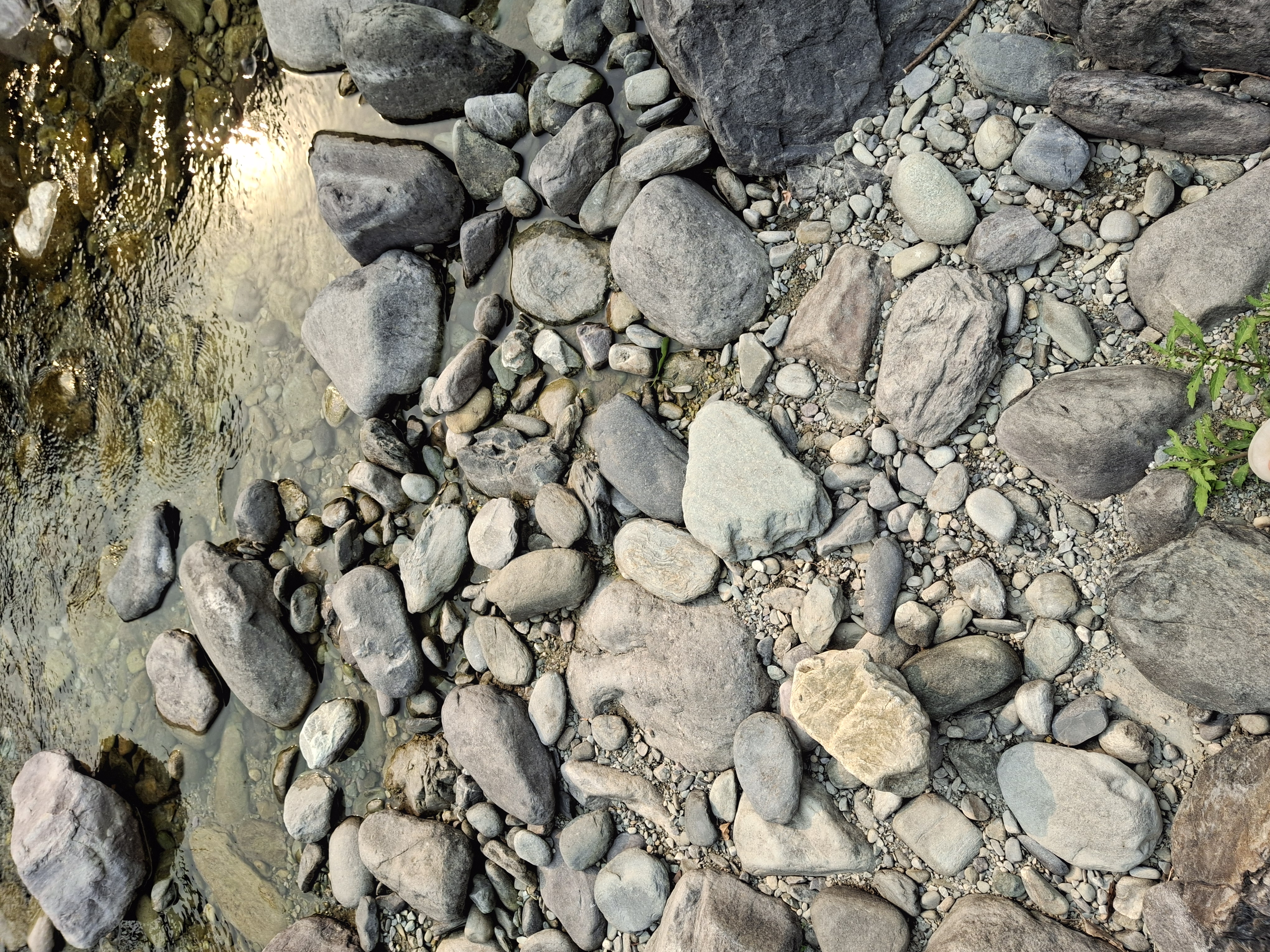 Gallery Thumb 1