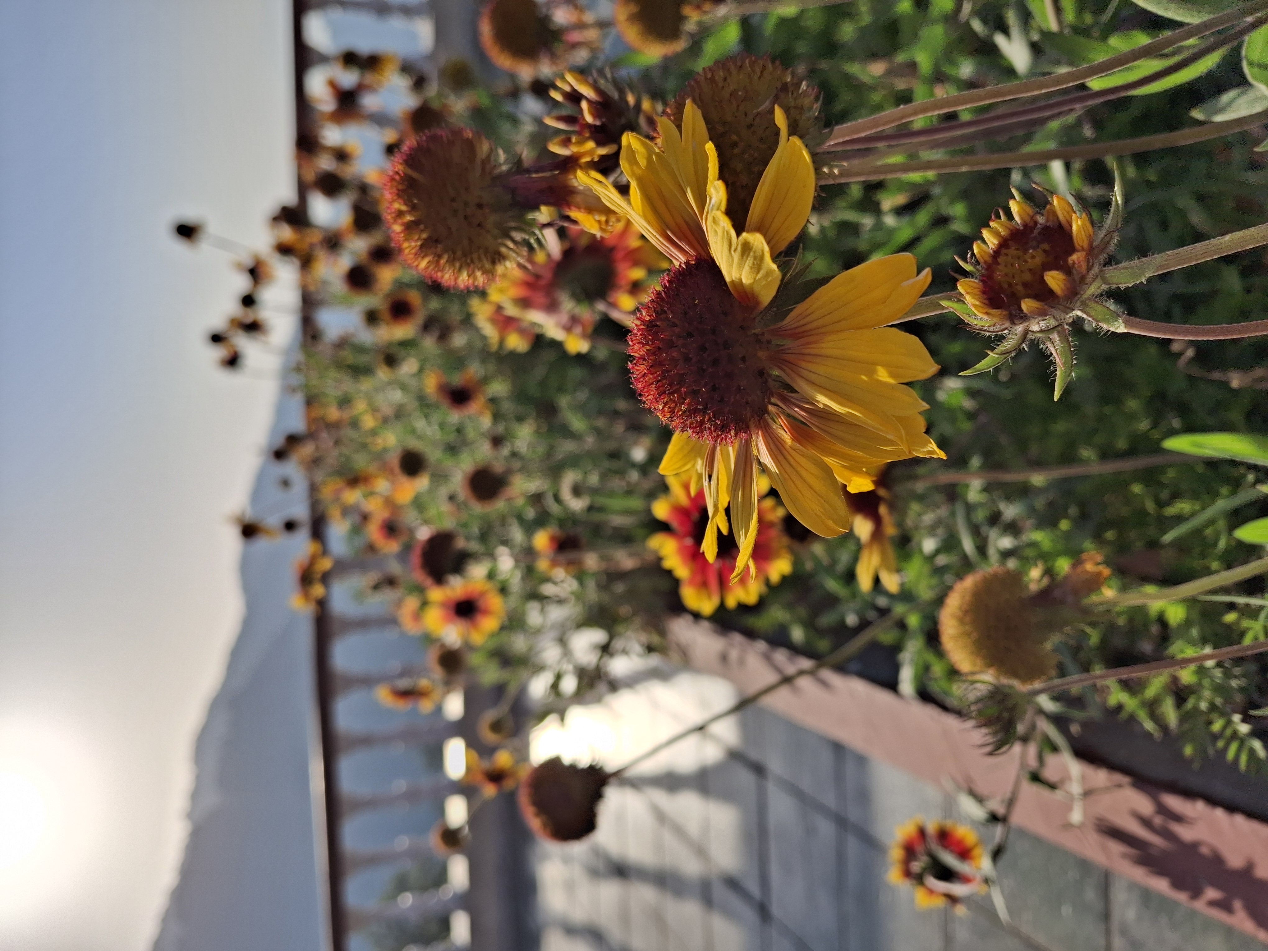 Gallery Thumb 8